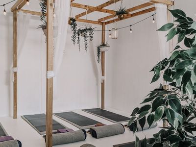 Minimalist yoga studio interior with green plant.